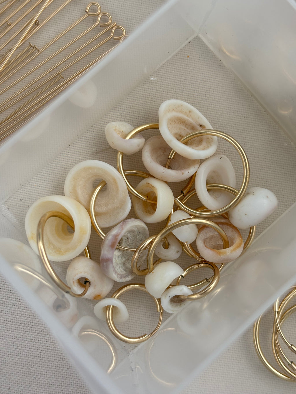 salt hoops