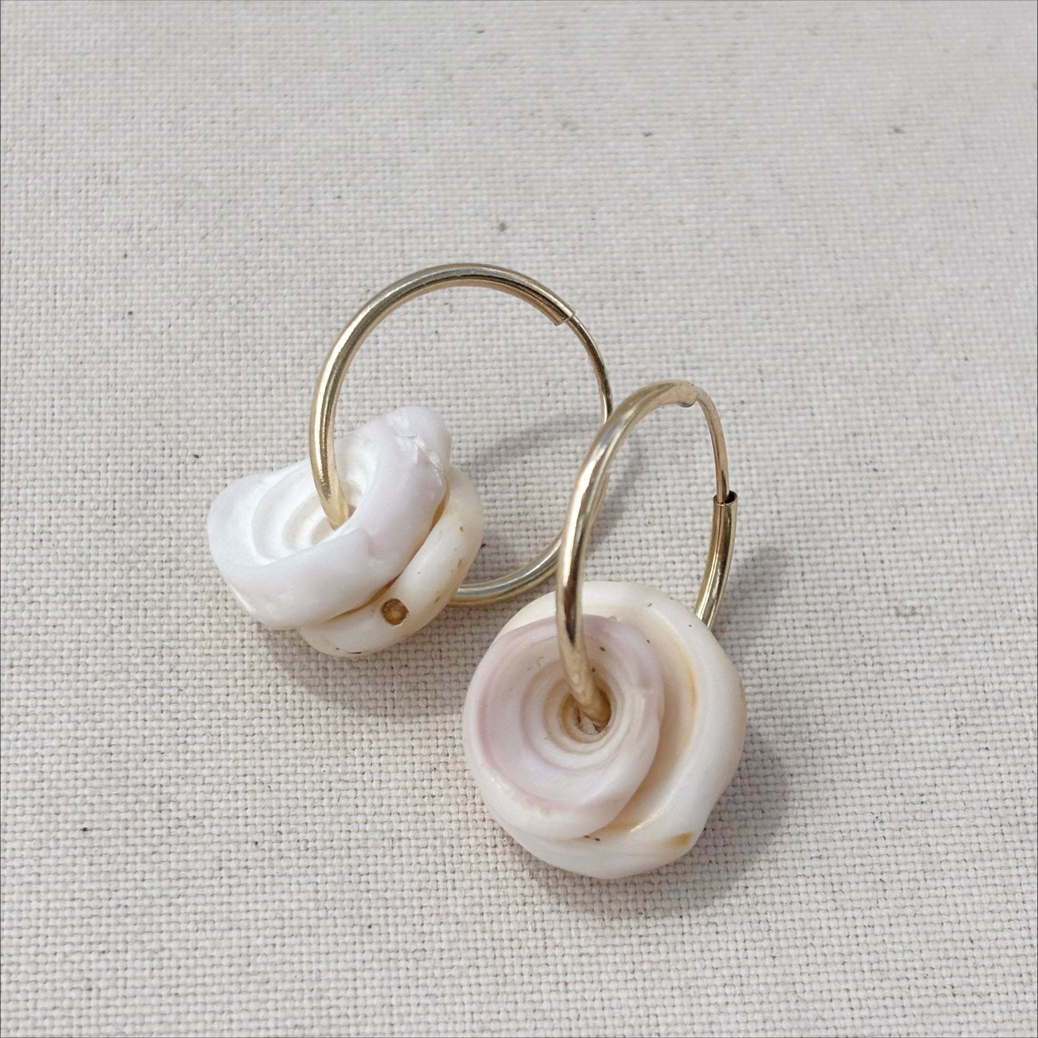 salt hoops